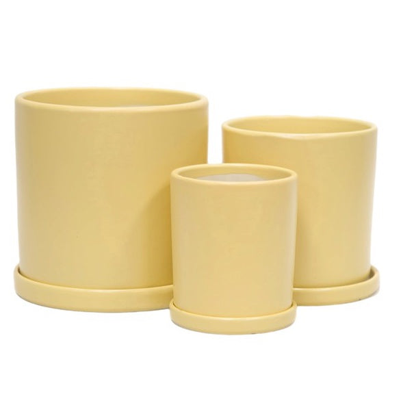 Timor Cylinder Lemon