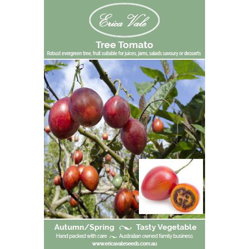 Tree Tomato Seeds
