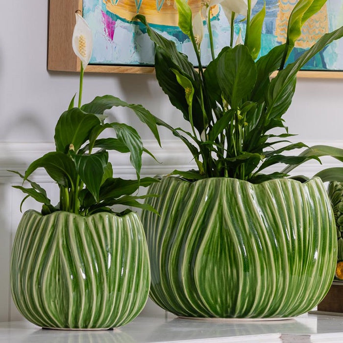 Tulip Ceramic Pot Green