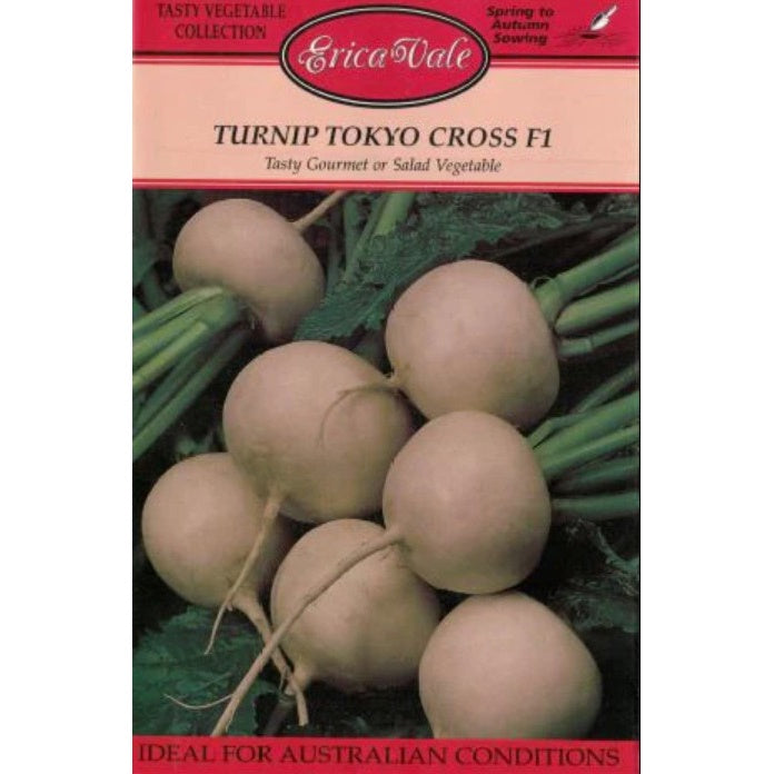 Turnip Japanese Tokyo Cross F1 Seeds
