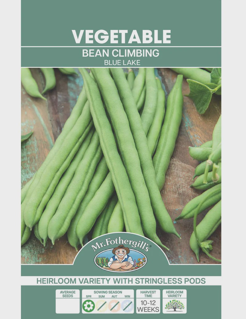 Bean Climbing Blue Lake Seeds