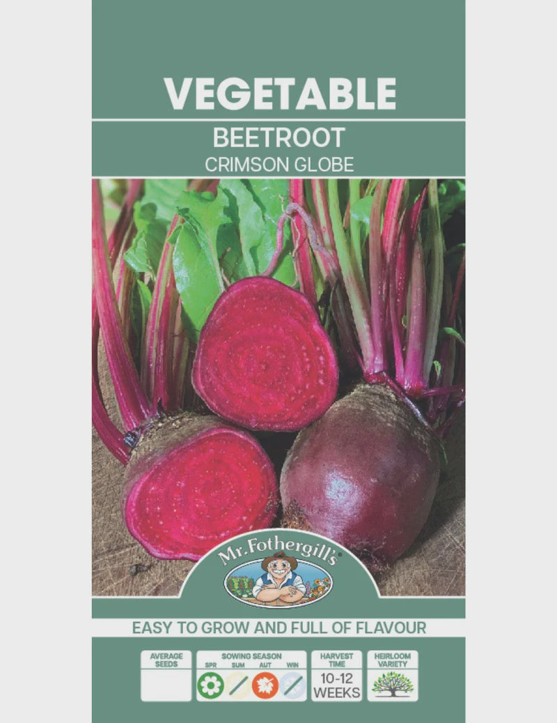 Beetroot Crimson Globe Seeds Value Pack