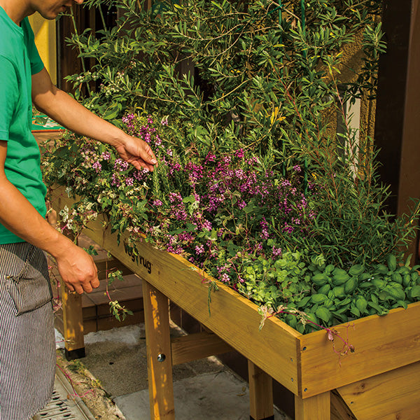 VegTrug Wall Hugger Medium 1.8m Natural