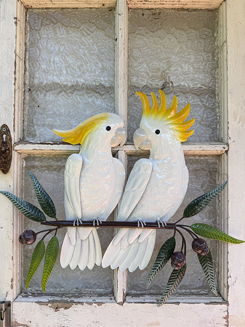 White Cockatoo Companions