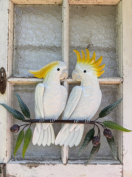 White Cockatoo Companions