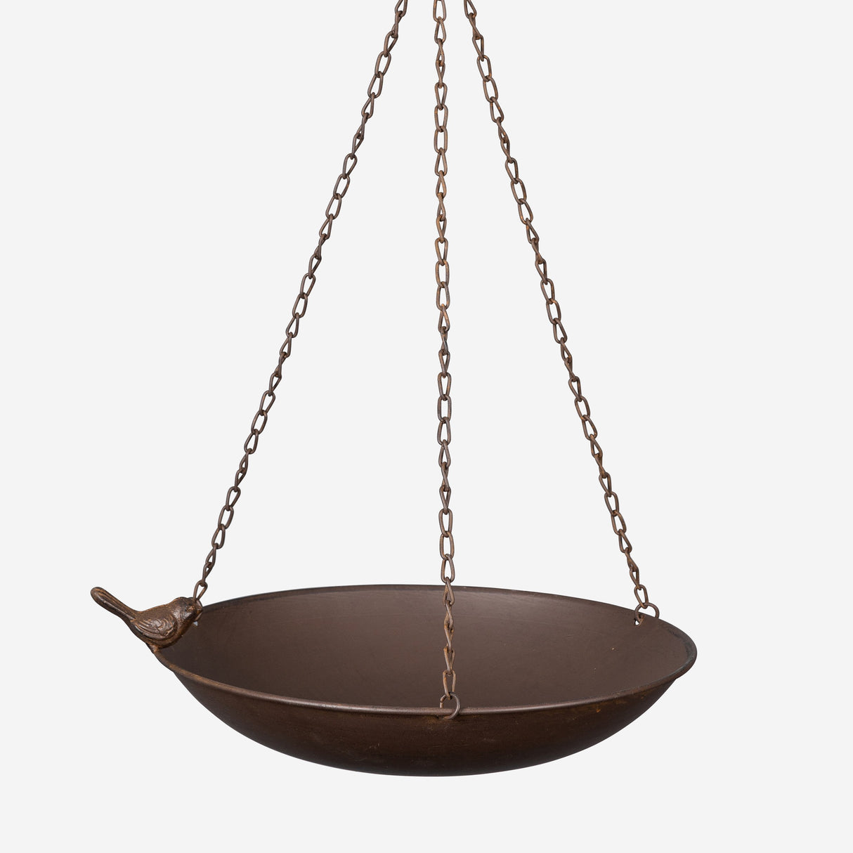 Bird Feeder with Brown Bird