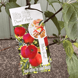 Apple Bite Size Semi-Dwarf