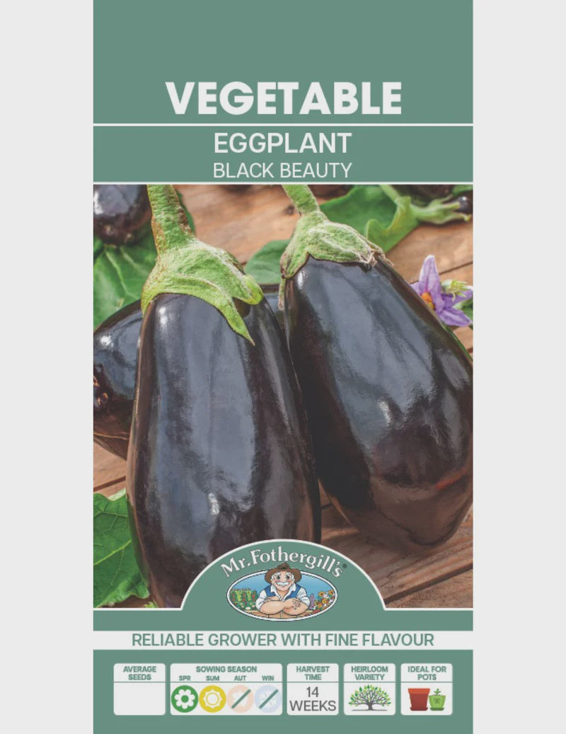 Eggplant Black Beauty Seeds