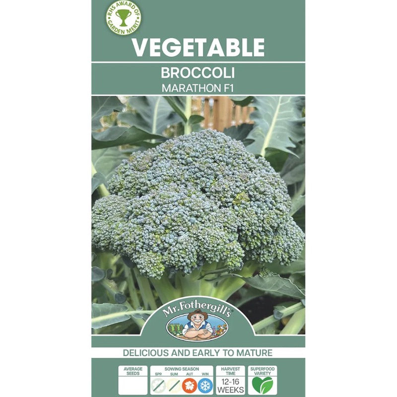 Broccoli Marathon Seeds