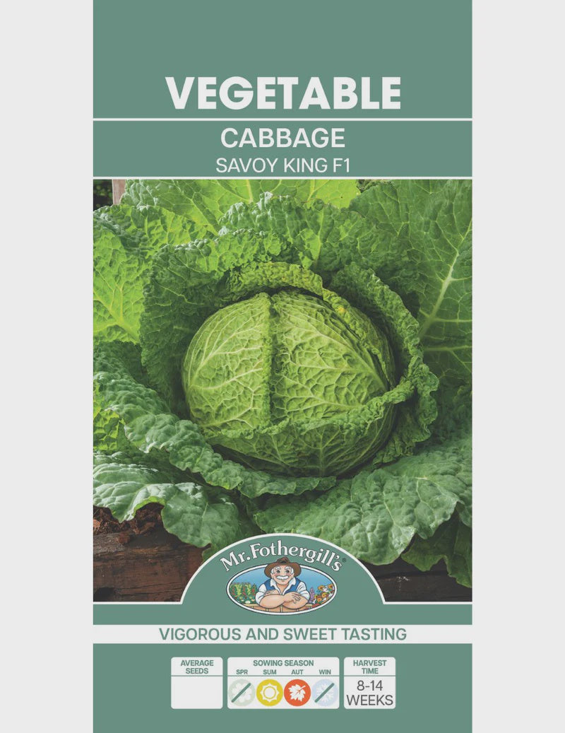 Cabbage Savoy King F1 Seeds