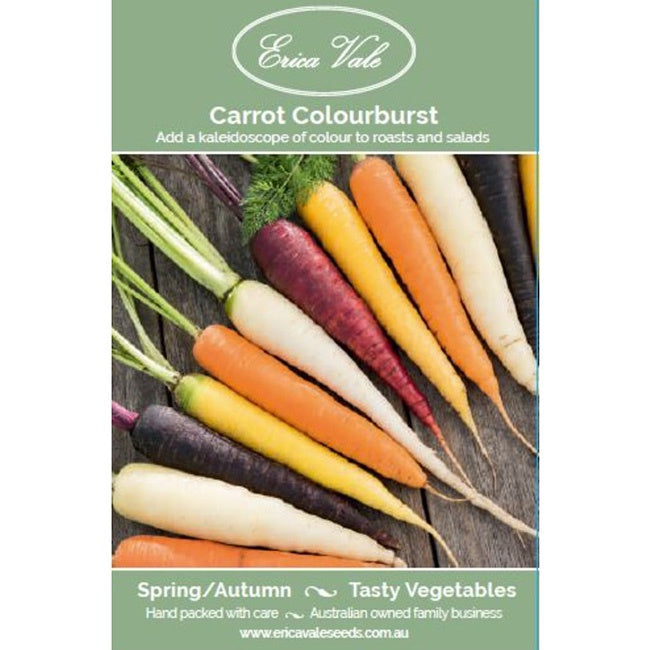 Carrot Colourburst Seeds