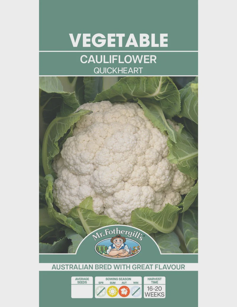 Cauliflower Quickheart Seeds