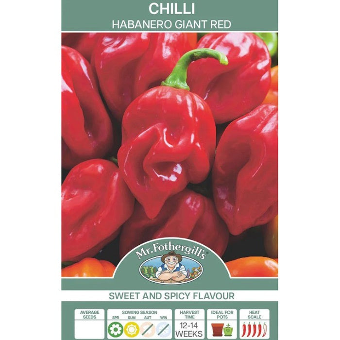 Chilli Habanero Giant Red Seeds