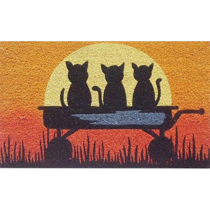 Doormat Kittens in Sun