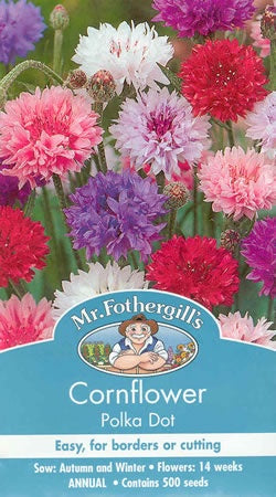 Cornflower Polka Dot Seeds