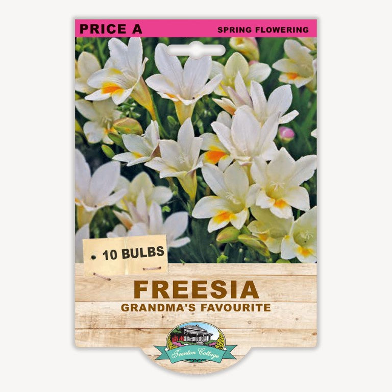 Freesia Grandma's Favourite - 10 Bulbs