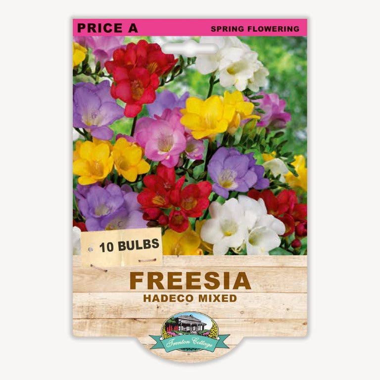 Freesia Hadeco Mixed - 10 Bulbs
