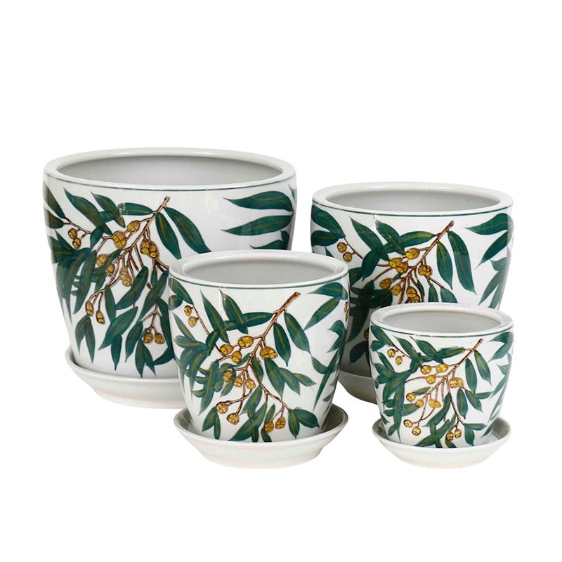 Gum Nuts Pot