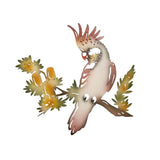 Coloured Galah Wall Art