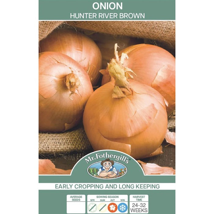 Onion Hunter River Brown Seeds