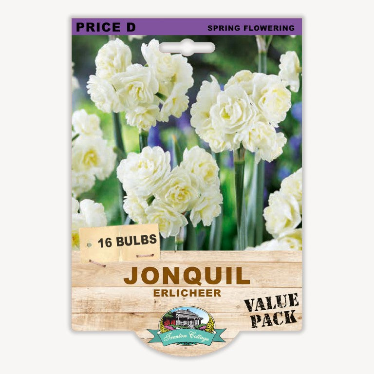 Jonquil Erlicheer - 16 Bulbs