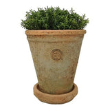 Kew Terra Long Tom Large 19 x 21cm