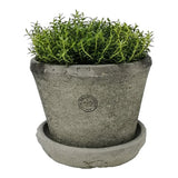 Kew Terra Pot Large 20 x 15cm