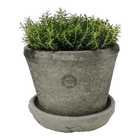 Kew Terra Pot Large 20 x 15cm