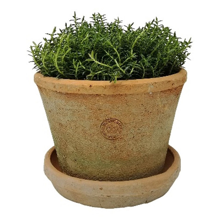 Kew Terra Pot Large 20 x 15cm