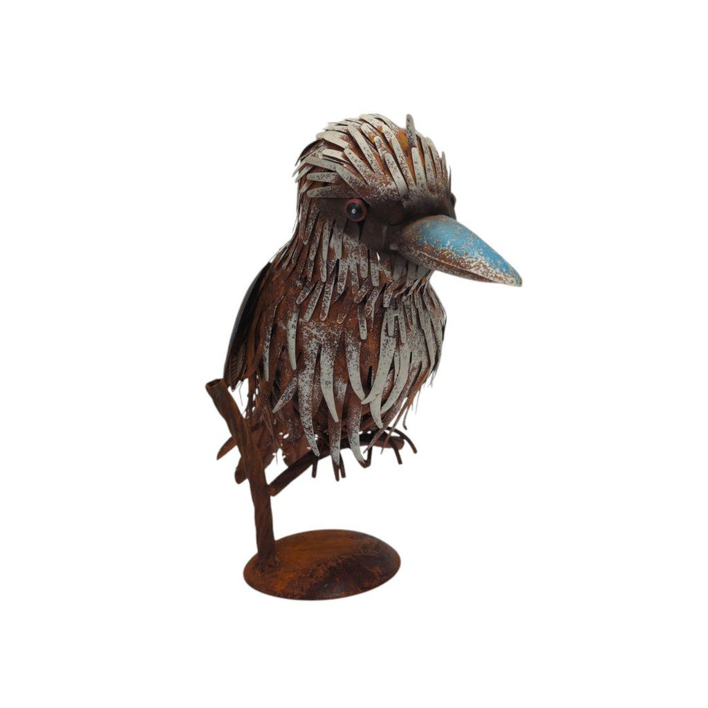 Kookaburra On Branch