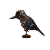 Kookaburra On Branch