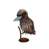 Kookaburra On Branch