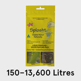 Splosht Large Fishpond /  Water Feature