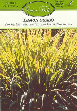 Lemon Grass Seeds