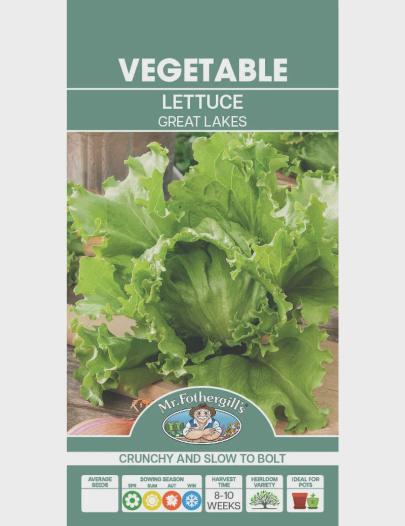Lettuce Great Lakes Seeds
