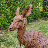 Mama Kangaroo