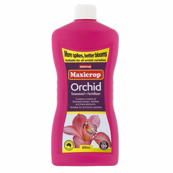 Maxicrop Orchid Seaweed+Fertiliser Concentrate 600mL