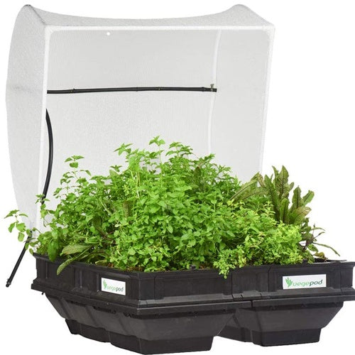 Vegepod Medium