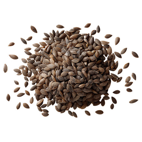Oregano Greek Seeds