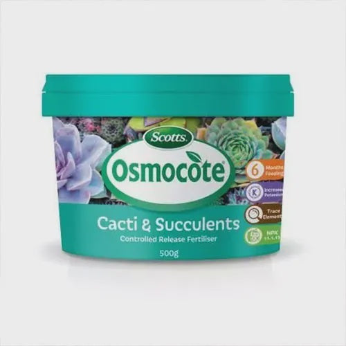 Osmocote Cacti & Succulent 500g