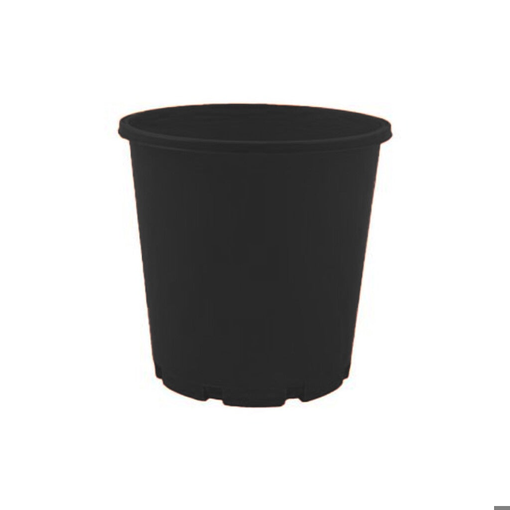 Slimline Tag Lock Pot Black 125mm