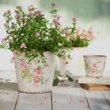 Pot Rose Tall