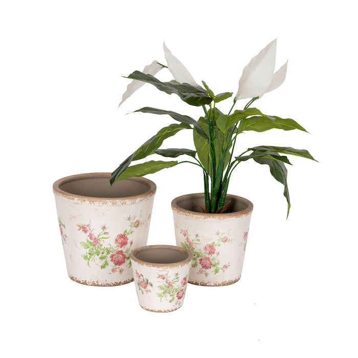 Pot Rose Tall