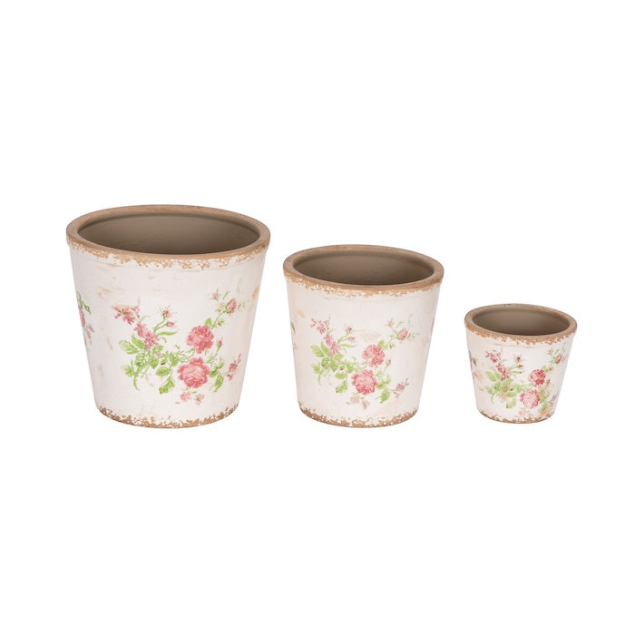Pot Rose Tall