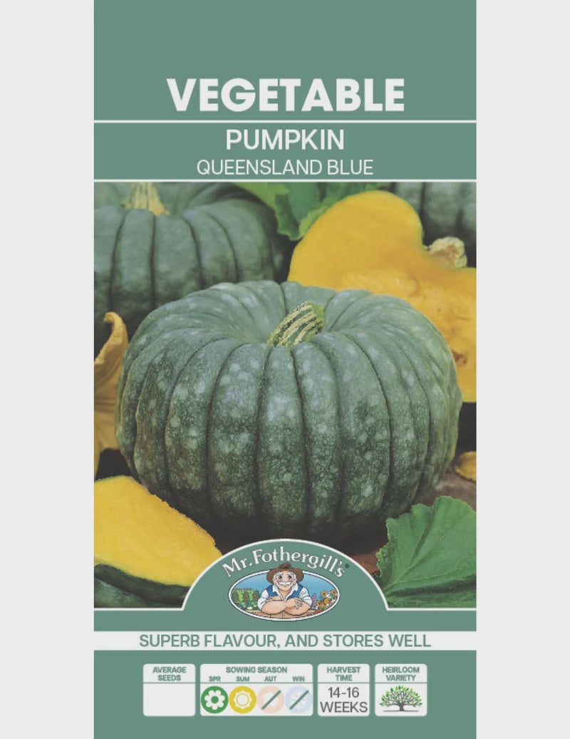 Pumpkin Queensland Blue Seeds