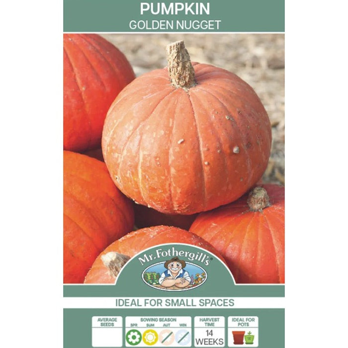 Pumpkin Golden Nugget Seeds