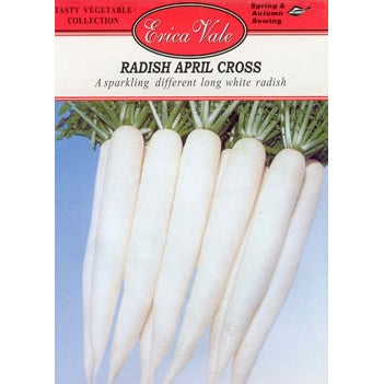 Radish April Cross Seed