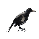 Standing Magpie