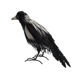 Standing Magpie