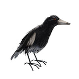 Standing Magpie